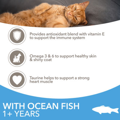 Iams Advanced Nutrition Adult Dry Cat Food Ocean Fish 2kg - ASDA Groceries