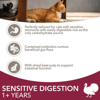buy purina pro plan cat food Purina Pro Plan Savor Chicken & Rice Formula Dry Cat Food - Hilton, NY