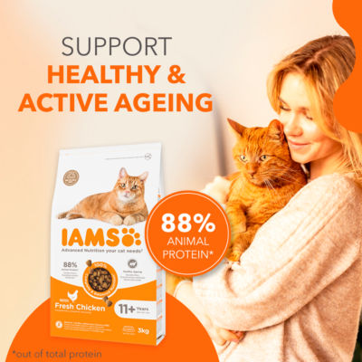 Iams Advanced Nutrition Senior 11+ Dry Cat Food Chicken 800g - ASDA  Groceries