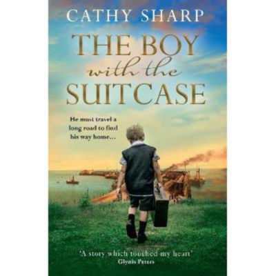 Paperback Boy with the Suitcase - Cathy Sharp