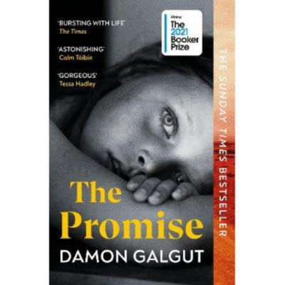 Paperback The Promise - Damon Galgut
