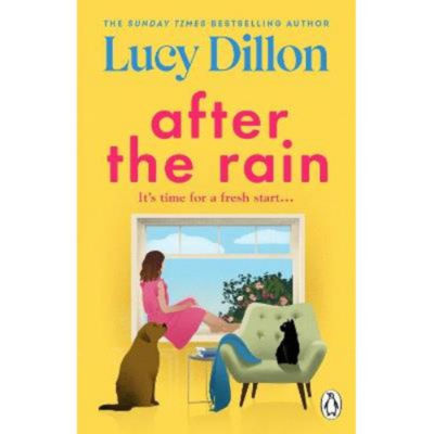 Paperback After the Rain - Lucy Dillon