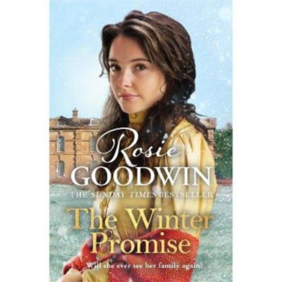 Paperback Winter Promise - Rosie Goodwin