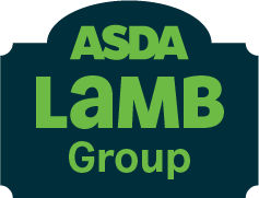 ASDA_LAMB_GROUP_01