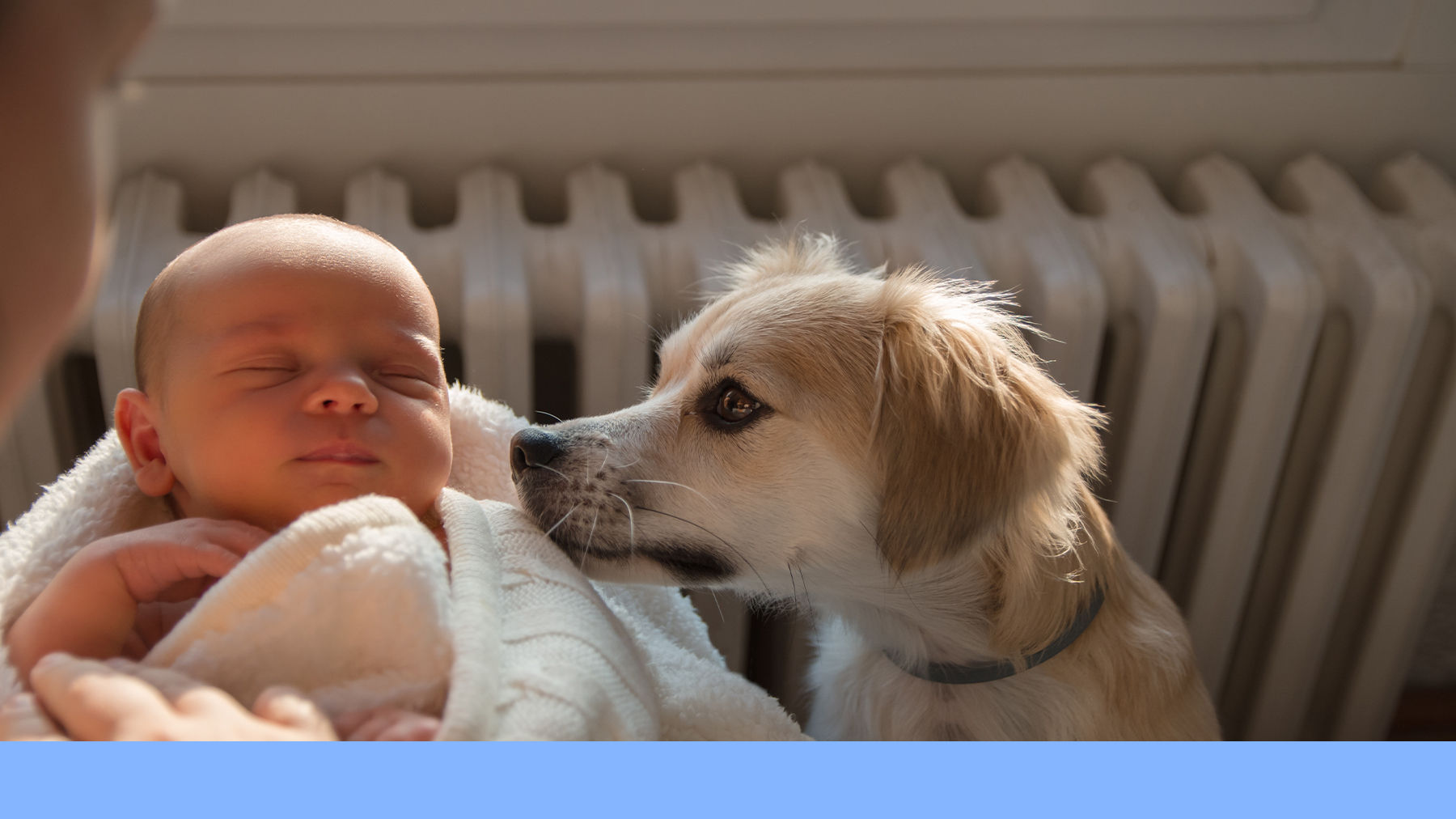 Newborn baby and dog