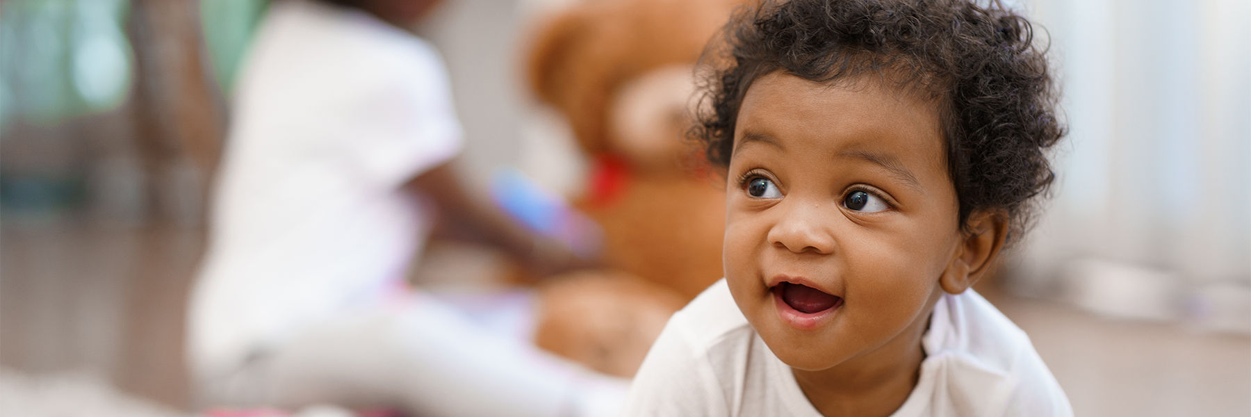 Baby Development Milestones
