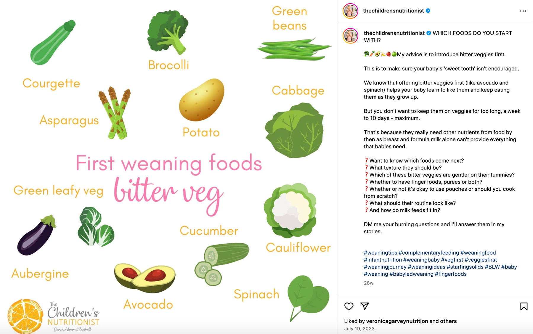 Baby Led Vs Purees, thechildernsnutritionist