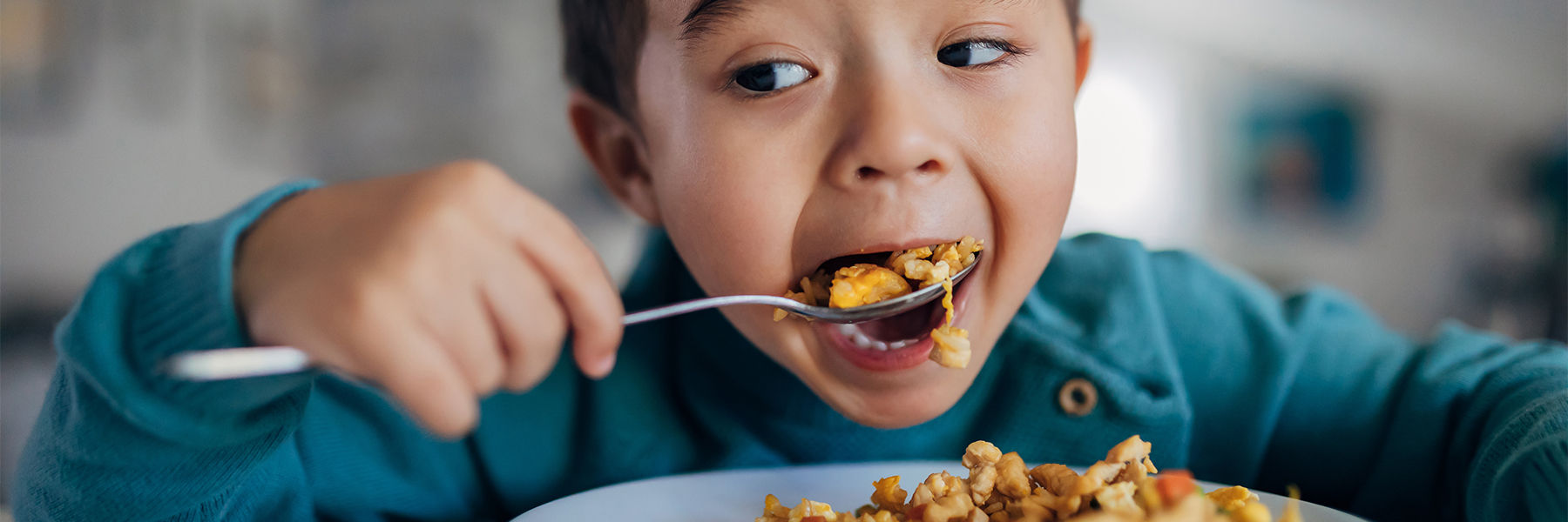 Meals for Fussy Eaters
