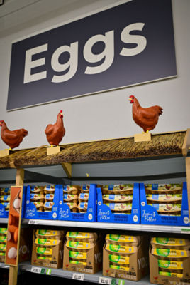 Chickens