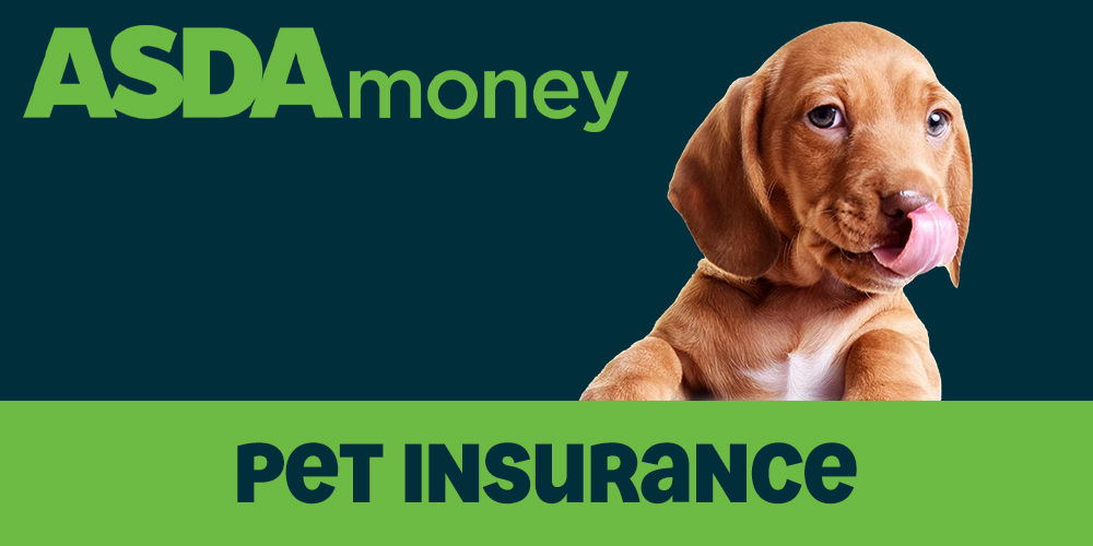 Pet Insurance.