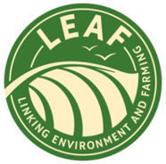 LEAF