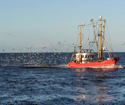Seafood_img