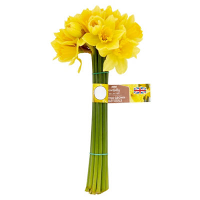 Daffodils