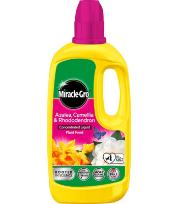 Miracle-Gro Azalea, Camellia & Rhododendron Concentrated Liquid Plant Food 800ml