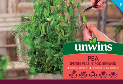unwins Pea ‘n’ Pod Bernard