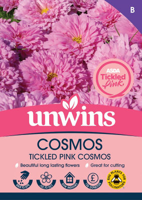 ASDA Tickled Pink Cosmos