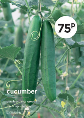 ASDA GYO CUCUMBER