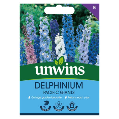 ASDA Delphinium Pacific Giants