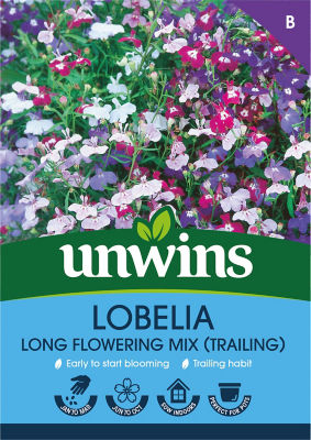 ASDA Lobelia Long Flowering Mixed (Trailing)