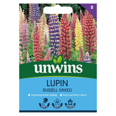 unwins Lupin Russell Mixed Flower Seeds