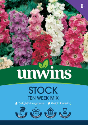 ASDA Stock Ten Week Mix
