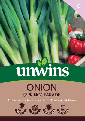 ASDA Onion (Spring) Parade