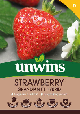 unwins Strawberry Grandian F1 Hybrid Vegetable Seeds