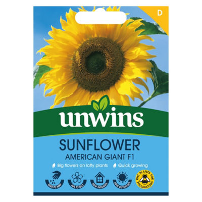 unwins Sunflower American Giant F1 Flower Seeds
