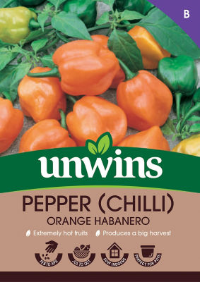 ASDA Pepper (Chilli) Orange Habanero