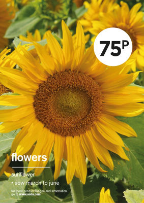 ASDA GYO SUNFLOWER