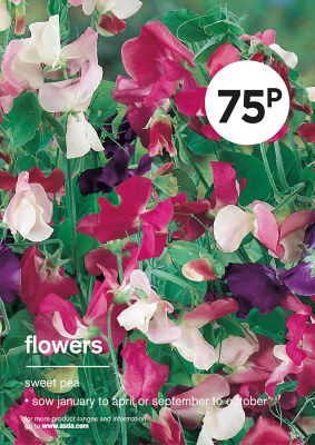 ASDA Sweet Pea Seeds