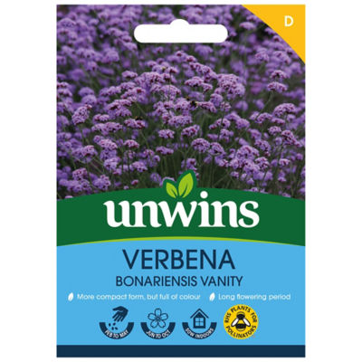 ASDA Verbena bonariensis Vanity