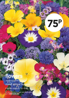 ASDA Mixed Annual Flower Seeds