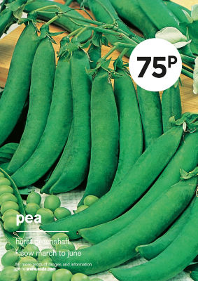 ASDA GYO PEA