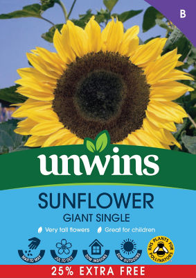 ASDA Sunflower Giant Single Seeds 25% Extra Free