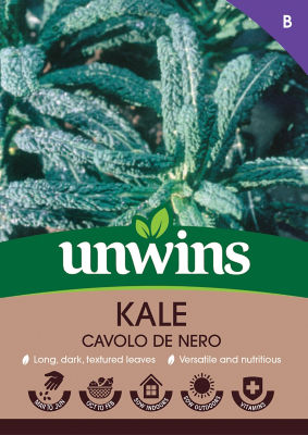 ASDA Kale Cavolo de Nero