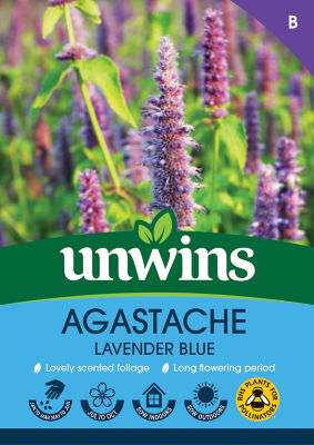 ASDA Agastache Lavender Blue