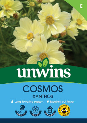 ASDA Cosmos Xanthos