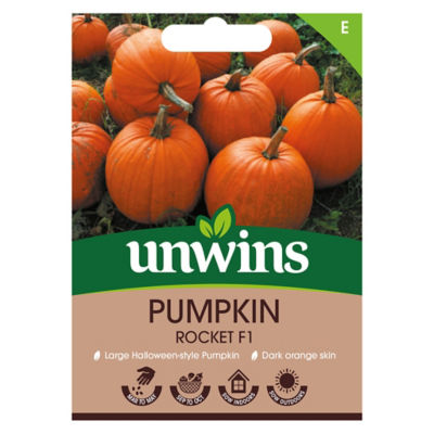 unwins Pumpkin Rocket F1 Vegetable Seeds