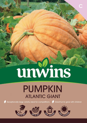 ASDA Pumpkin Atlantic Giant