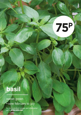 ASDA Grow Your Own Basil Herb Seeds