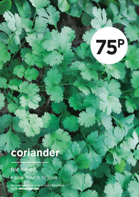 ASDA Grow Your Own Coriander Herb Seeds
