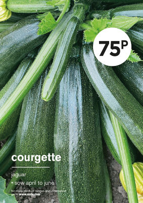 ASDA Grow Your Own Courgette Vegetable Seeds