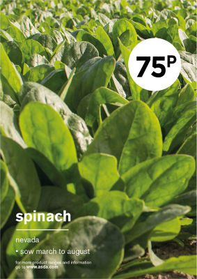 ASDA Grow Your Own Spinach Nevada Vegetable Seeds
