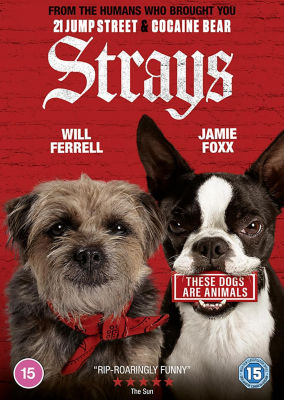 DVD The Strays