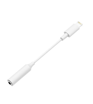 Onn 3.5Mm Aux To Lightning Adapter