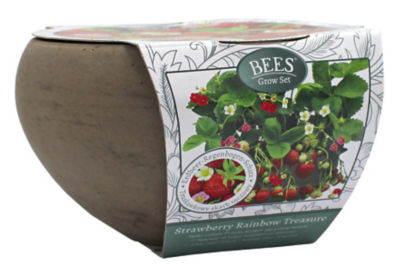 Grow Your Own Strawberry Bowl Gift Set