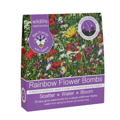 Bee Friends Rainbow Seed Bombs