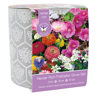Bees Gifts Bee Patterned Ceramic Pot Grow Set 17cm