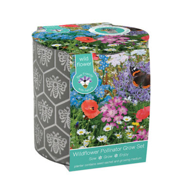 Bees Gifts Bee Patterned Ceramic Pot Grow Set 13cm